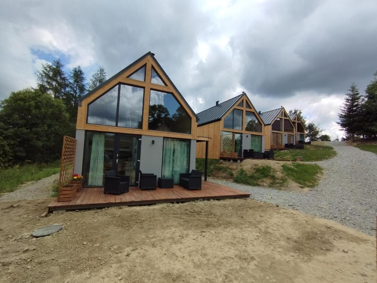 Holiday home Stodoly Holosanka 600-065-145 Polanczyk
